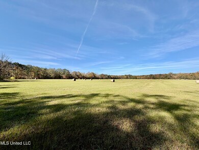 6803 Bowling Green Rd, Durant, MS 39063 - photo 3