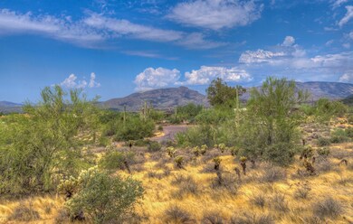 Elephant Butte