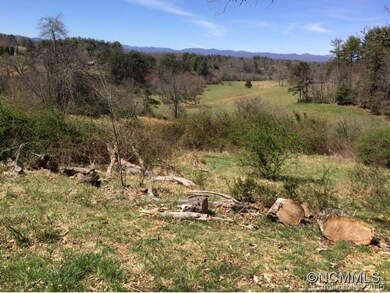 unlisted-address, Leicester, NC 28806 - photo 3