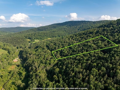 0 Broad Channel Rd unit KEY895476, Andes, NY 13731 - photo 2