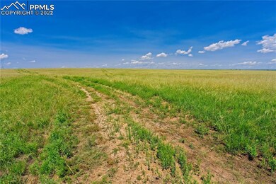 20305 Joyful View, Peyton, CO 80831 - photo 6