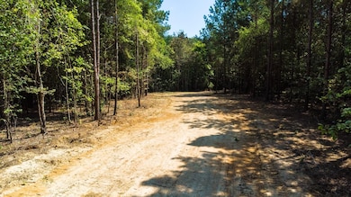 unlisted-address, Ten Mile, TN 37880 - photo 7