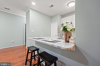 14322 Climbing Rose Way unit 102, Centreville, VA 20121 - photo 7