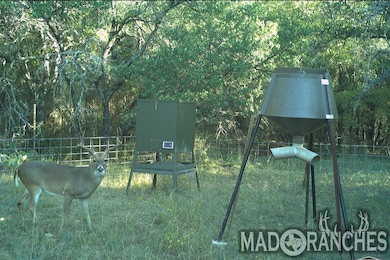 Tbd unit 34.02 Hwy 36, Comanche, TX 76442 - photo 5