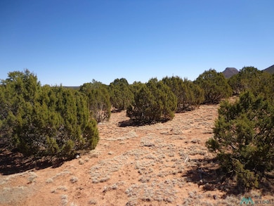 Tr 2A Camino Del Sol Rd, Bernal, NM 87569 - photo 2