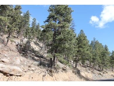 0 Rist Canyon Rd unit 870901, Bellvue, CO 80512 - photo 5