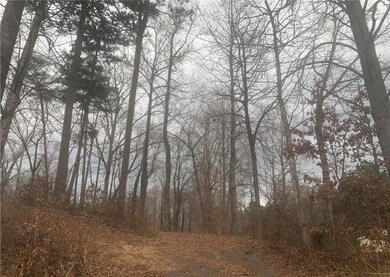 00 N Catherine St, Walhalla, SC 29691 - photo 4