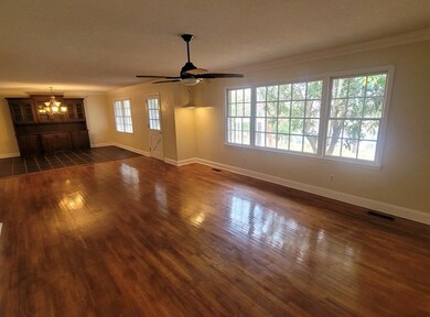 118 Benjamin Ave, Alma, GA 31510 - photo 4