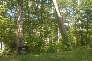 Viewing platform for lot 109 inside The Cliffs at 