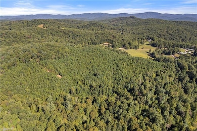 0 Mertie Rd unit 1194704, Wilbar, NC 28651 - photo 7