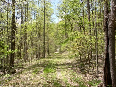 TBD Beech Grove Rd unit 644, Roseland, VA 22967 - photo 3