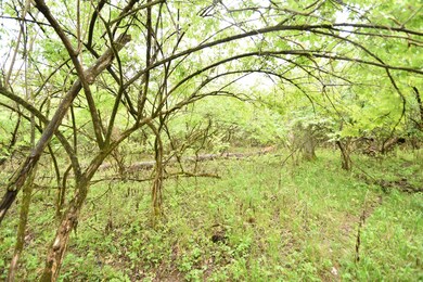 Tract 4 at Dean Rd, Harrodsburg, KY 40330 - photo 4