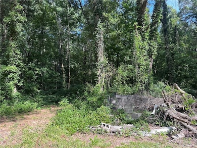 View of local wilderness