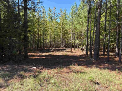 0 Bethuel Rd unit Lot 11, Unincorporated, TN 38053 - photo 2