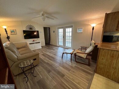 37262 Sugar Hill Way unit 41410, Selbyville, DE 19975 - photo 3