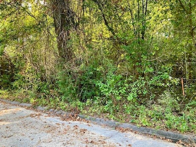 .47ac. Jordan St, Defuniak Springs, FL 32433 - photo 2