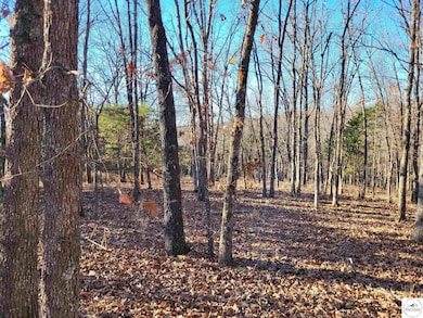 0 Wolcott Cir unit Lot 3823,3824 & 391, Union Township, MO 65326 - photo 7