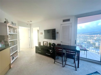spacious living room, furnished, views, pet friend