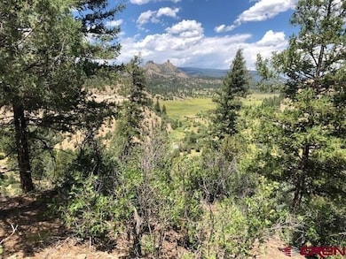 29736 State Hwy 151, Chimney Rock, CO 81147 - photo 2