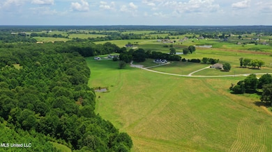 0 Russell Rd, Flora, MS 39071 - photo 6