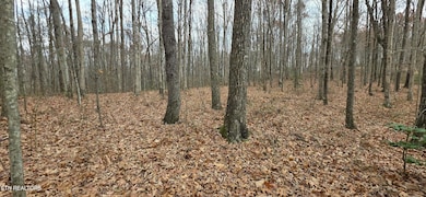 0 Rocky Top Rd unit 1322693, Monterey, TN 38574 - photo 2