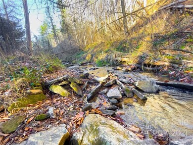 TBD Bradford Rd, Ramseytown, NC 28714 - photo 6