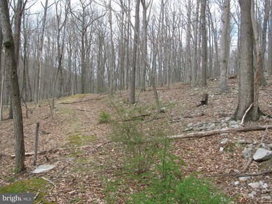 0 Settlers Valley Way unit 1000146727, Lost River, WV 26810 - photo 6