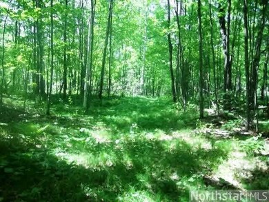 0 Moser Dr unit 4592322, Webster, WI 54893 - photo 4