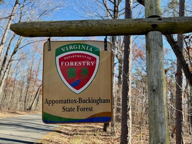 0 Lemon Ridge Ln unit 923092, Piney Mountain, VA 24522 - photo 7