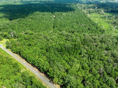 0 Tbd Savage Forks Rd, Leesville, LA 71446 - photo 3