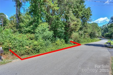 6960 Navajo Trail, Lake Norman of Catawba, NC 28673 - photo 2