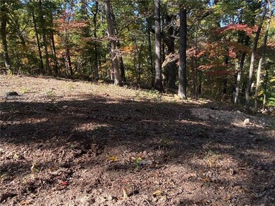 22 Carew Dr, Bella Vista, AR 72714 - photo 6