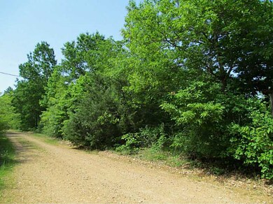 17122 Primrose Ln, Fayetteville, AR 72704 - photo 4