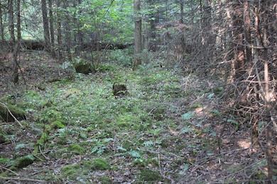 00 Miles Pond Rd, Concord, VT 05824 - photo 4