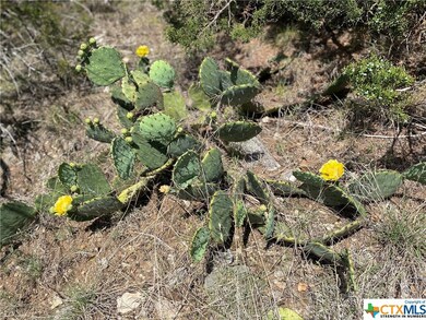 TBD Fm2673 Rd, Canyon Lake, TX 78070 - photo 7