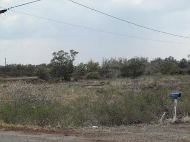 Should be an easy lot to doze and build on...