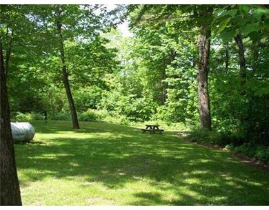 Yard/Garden. Back Yard