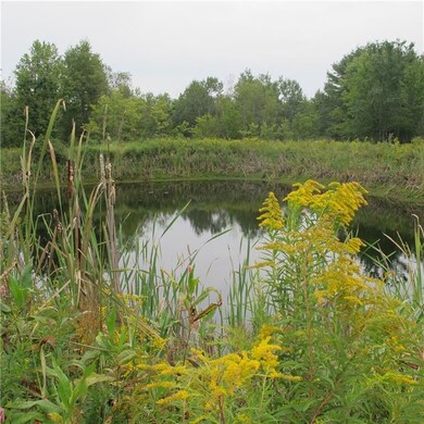 Spring-fed retention pond for irrigation