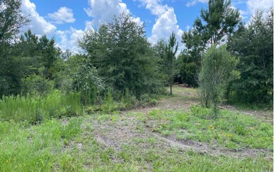 Right side of property