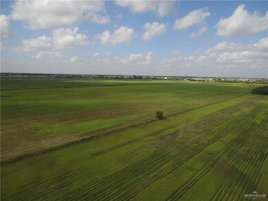 NN Billman Rd, Donna, TX 78537 - photo 4