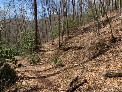 27 Pathfinder Trail, Asheville, NC 28806 - photo 4