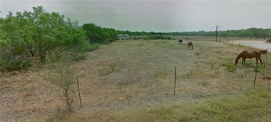 10 acres Cr 421, Christine, TX 78012 - photo 6