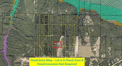Flood Zone Map
