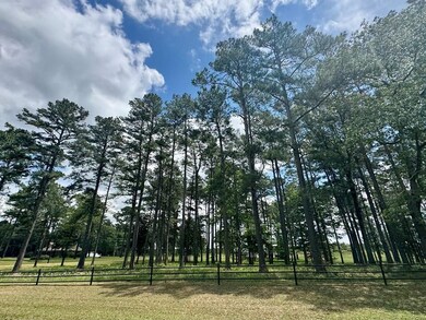 17132 Texas 87, Wiergate, TX 75977 - photo 4