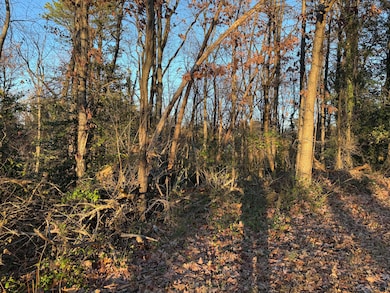 0 Panorama Ave NW, Roanoke, VA 24017 - photo 4