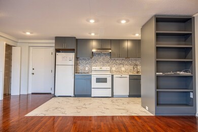 47 Mystic St unit 2D, Arlington, MA 02474 - photo 6