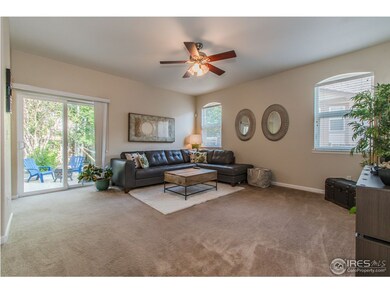 13764 Adams St, Thornton, CO 80602 - photo 5
