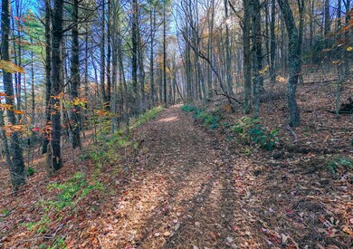 0 Shelor Rd SW, Meadows Dan, VA 24120 - photo 6