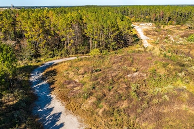 18715 SW Archer Rd, Archer, FL 32618 - photo 3