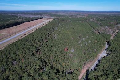 7.90 Acres-TBD Puncheon Creek Dr, Andrews, SC 29510 - photo 4